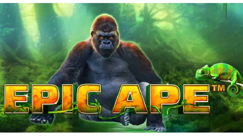 playetech EPIC APE